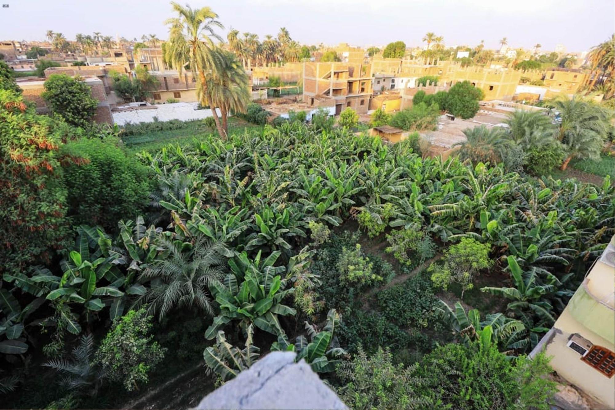 Luxor View Hostel Exterior foto